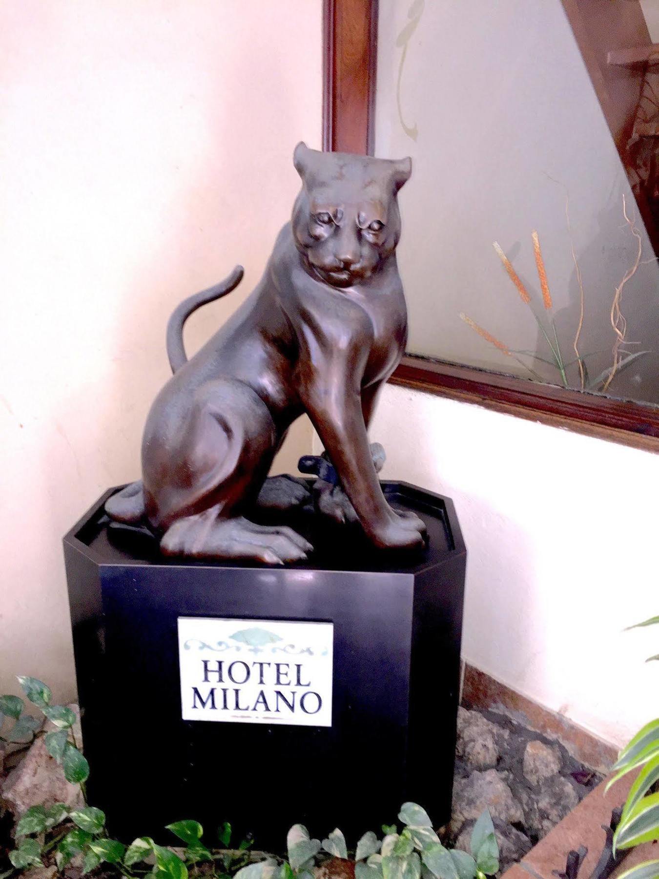 Hotel Milano San Juan Kültér fotó